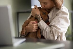 Vet taking care of pet