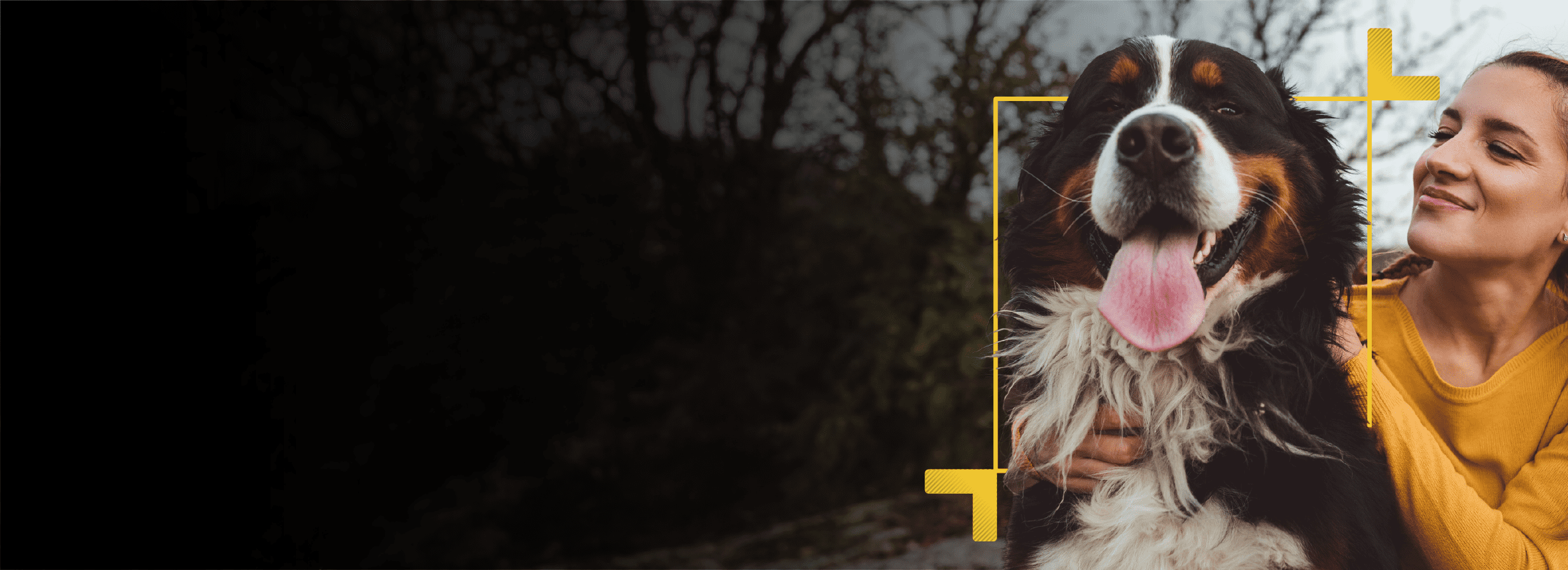 pet insurance ireland, pet insurance, best pet insurance ireland, compare pet insurance ireland, pet insurance ireland cost, pet insuranc for dogs, pet insurnace for cats