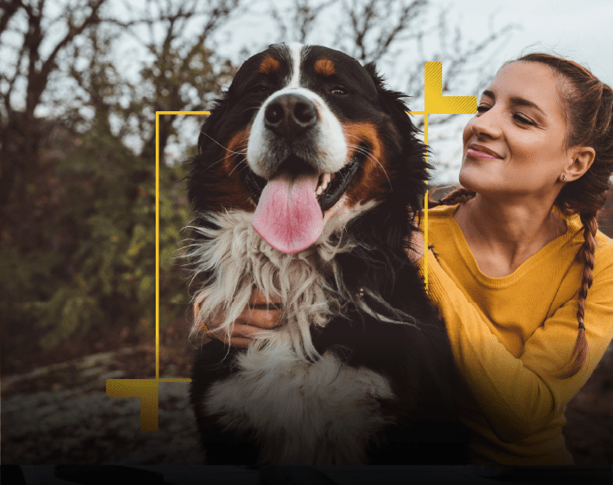 pet insurance ireland, pet insurance, best pet insurance ireland, compare pet insurance ireland, pet insurance ireland cost, pet insuranc for dogs, pet insurnace for cats